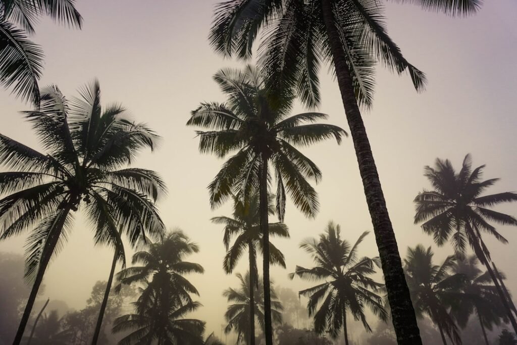 Your Ultimate 7-Day Trip to Kerala