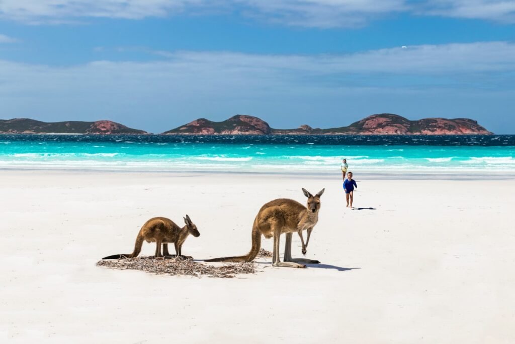 Your Ultimate 3-Day Trip to Australia