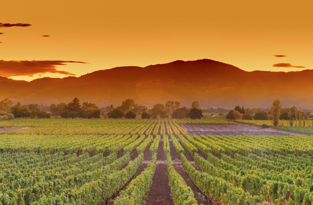 The Ultimate 4-Day Napa Valley