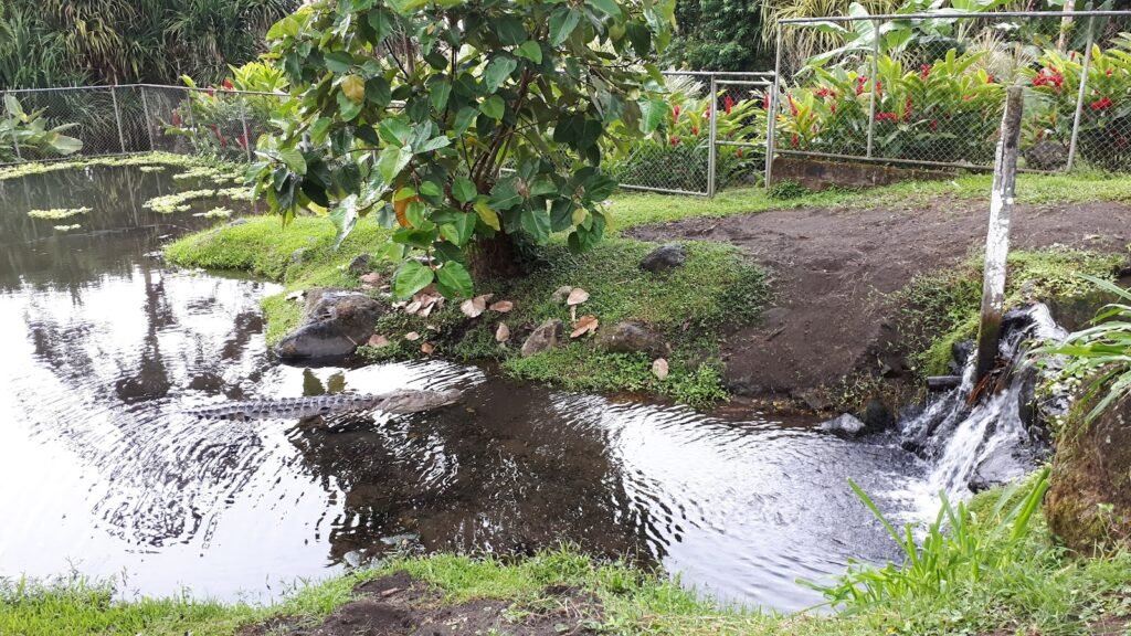 Your Ultimate 9-Day Trip to La Fortuna