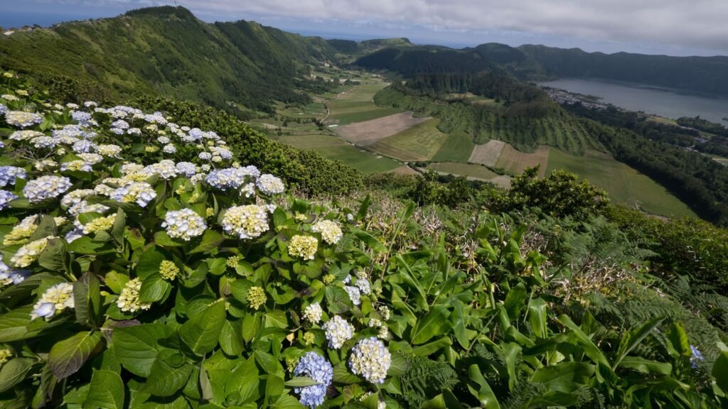 4-Days Island Circuit Waterfalls Crater Lakes Whale Watching Itinerary for Azores