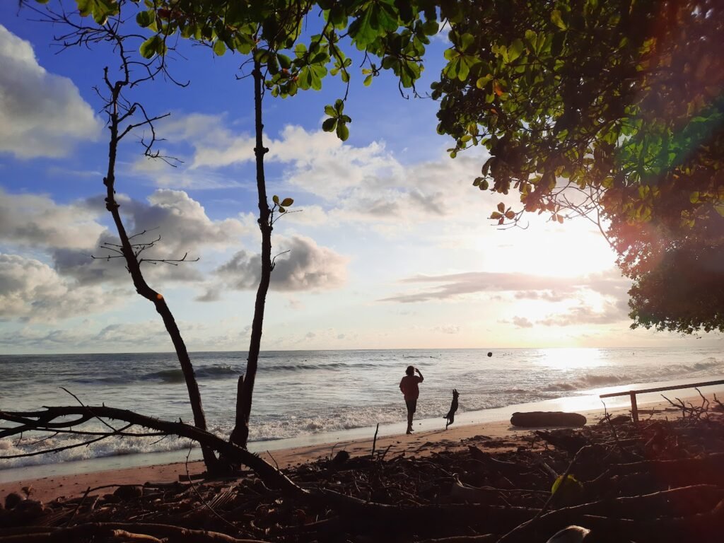 6 Days in Santa Teresa